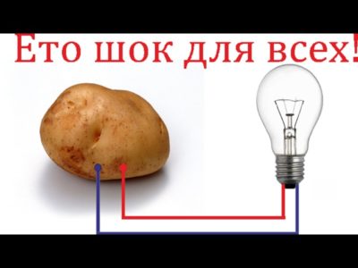 как зажечь лампочку от картошки