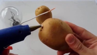 как зажечь лампочку от картошки